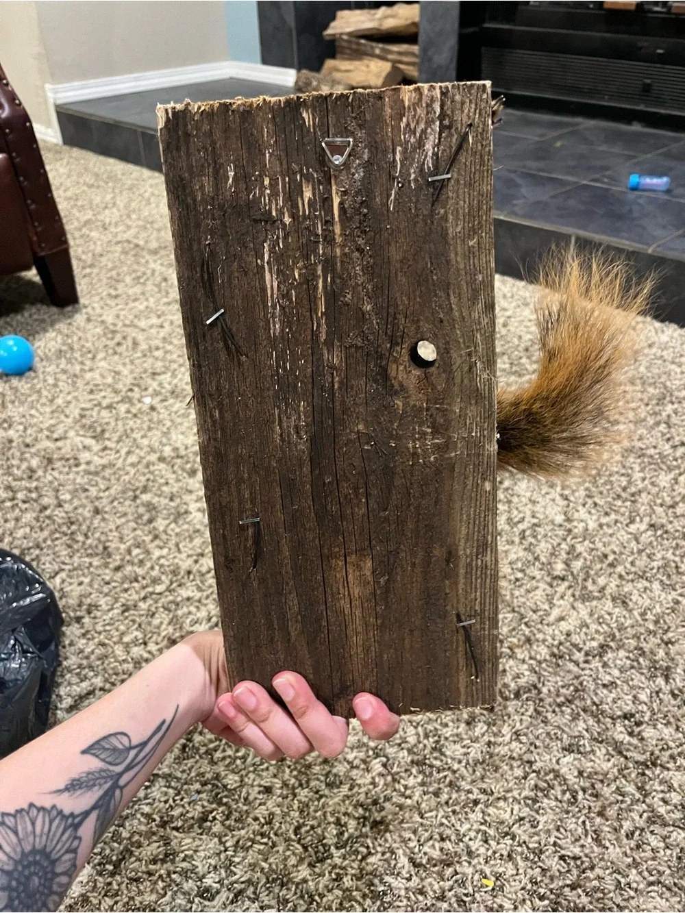 Rustic Gray and Orange Squirrel Wall Accent - Unbranded